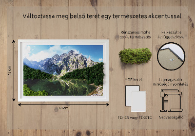 Tableau végétal mousse Montagnes des Tatras Morskie Oko