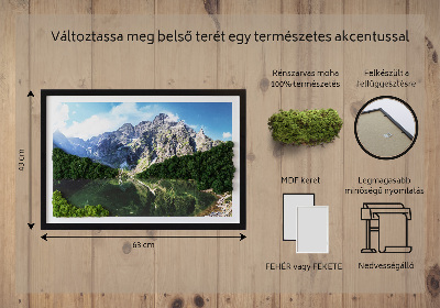 Tableau végétal mousse Montagnes des Tatras Morskie Oko