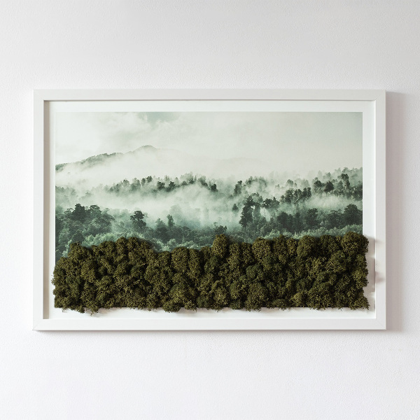Tableau en mousse Forêt dans le brouillard