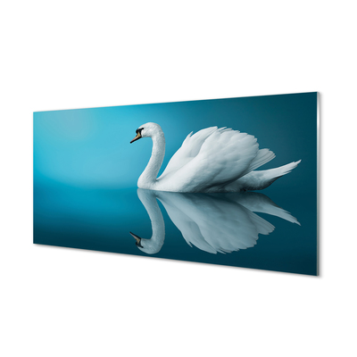 Tableaux sur verre Swan dans l'eau