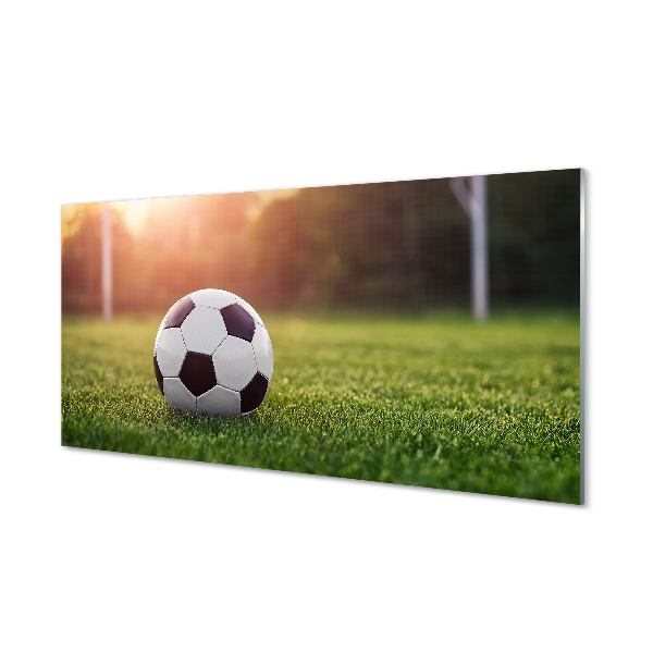 Tableaux sur verre Passerelle d'herbe de football