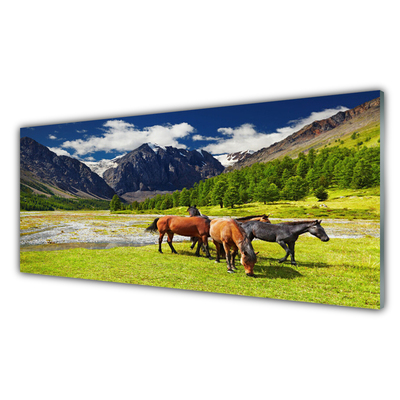 Tableaux sur verre Montagnes cheval animaux gris vert brun noir