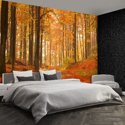 Papier peint photo Forêt en automne