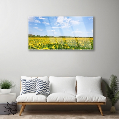Tableaux sur verre acrylique Pissenlit prairie fleurie paysage jaune bleu
