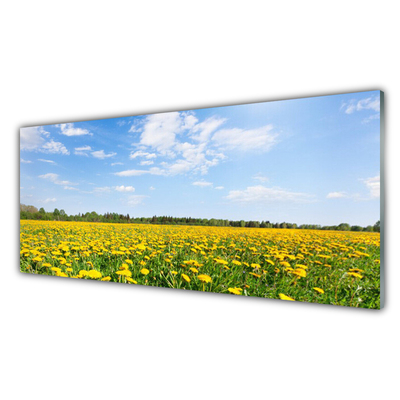 Tableaux sur verre acrylique Pissenlit prairie fleurie paysage jaune bleu