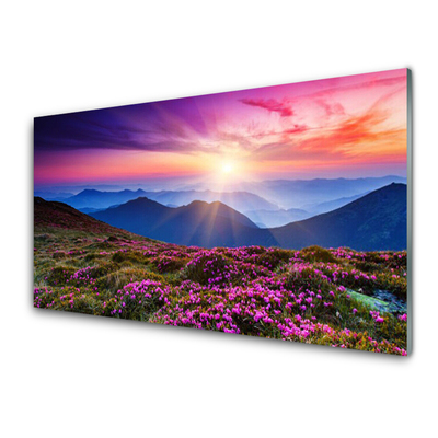 Tableaux sur verre acrylique Montagnes prairie fleurs paysage violet rose bleu vert