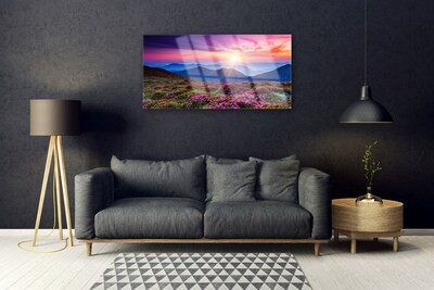 Tableaux sur verre acrylique Montagnes prairie fleurs paysage violet rose bleu vert