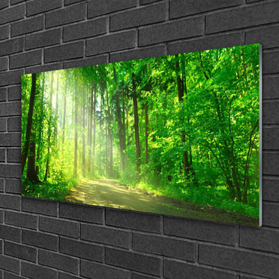 Image sur verre acrylique Forêt nature brun vert