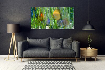 Image sur verre acrylique Poissons nature jaune