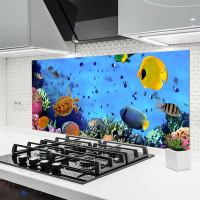 Crédence de cuisine en verre Poisson sous-marin récif de corail nature bleu jaune multicolore
