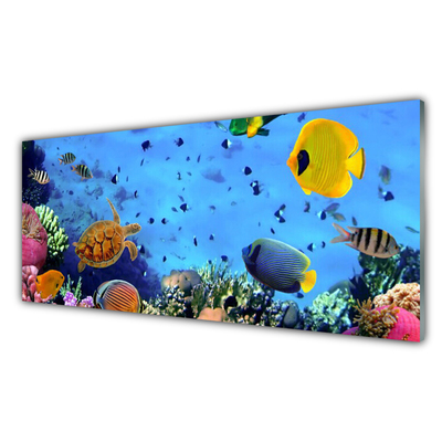 Crédence de cuisine en verre Poisson sous-marin récif de corail nature bleu jaune multicolore