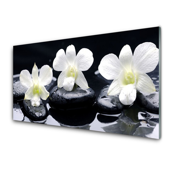 Crédence de cuisine en verre Pierres fleurs floral blanc noir