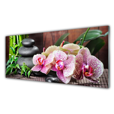 Panneaux de cuisine en verre Pierres bambou fleurs floral vert gris rose