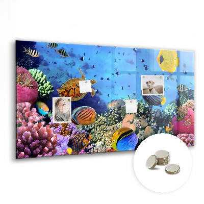 Tableau magnétique décoratif La vie sous-marine