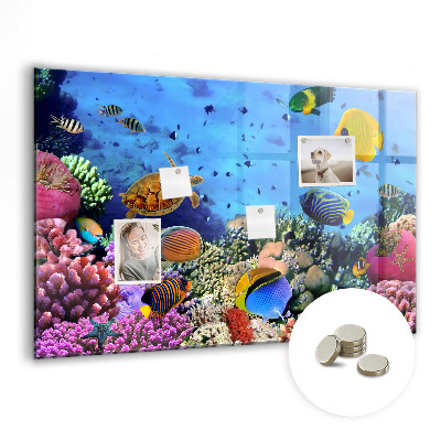 Tableau magnétique décoratif La vie sous-marine